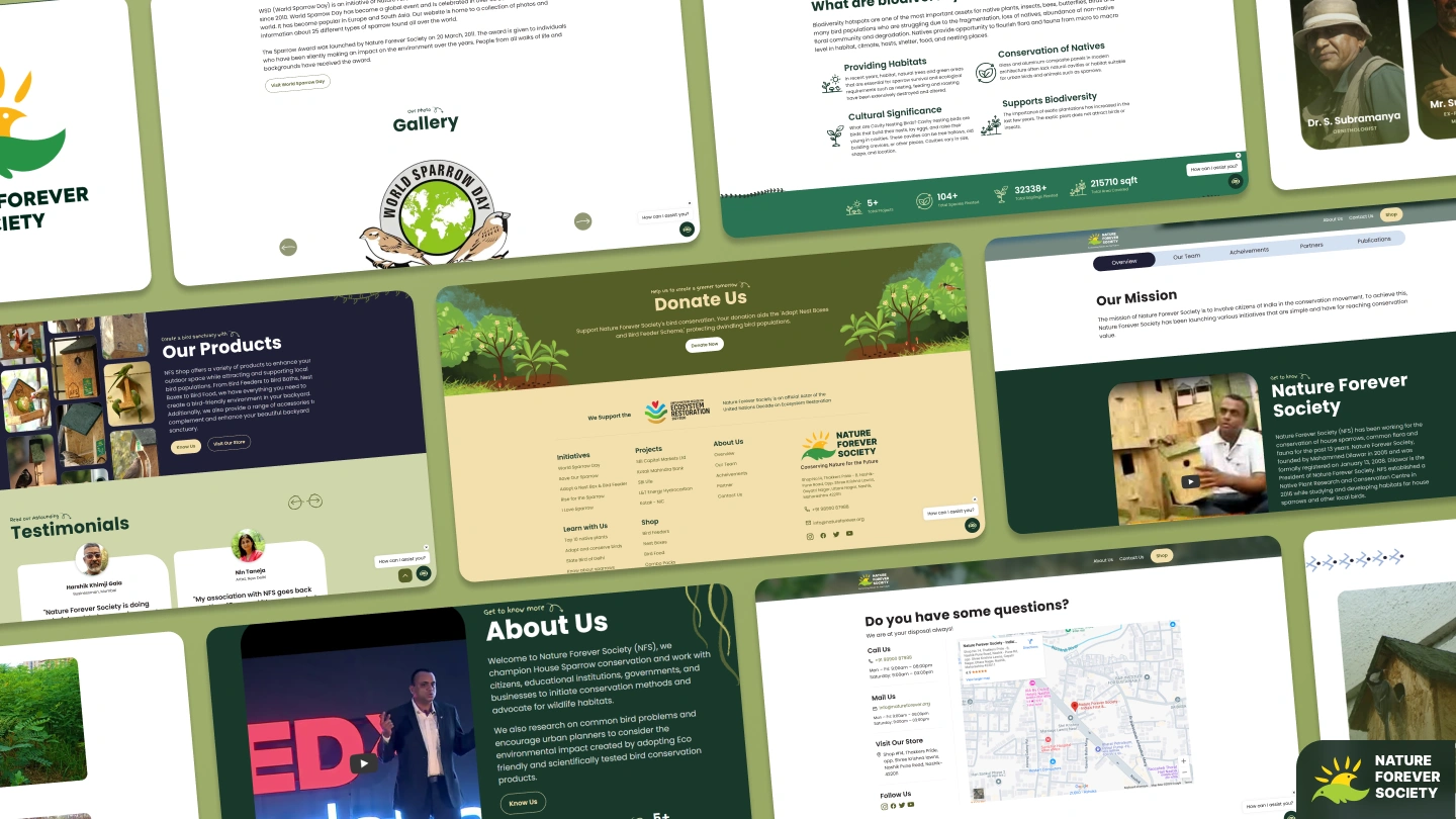 Nature Forever Society website design - natural color palette and organic typography inspired by nature