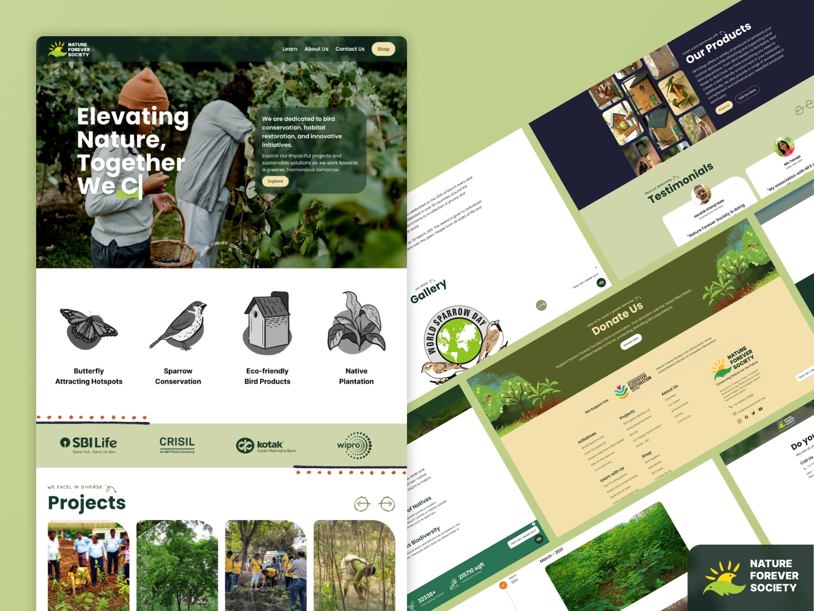 Nature Forever NGO website redesign - UX case study showing before and after improvements